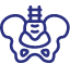 Hip pain Icon