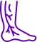 Spider veins Icon