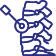 Lumbar Medial Branch Block icon