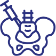 Sacroiliac Joint Injection icon